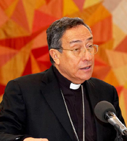 El cardenal Rodrguez Maradiaga sugiere que el Pontificio Consejo para los laicos puede pasar a ser una Congregacin