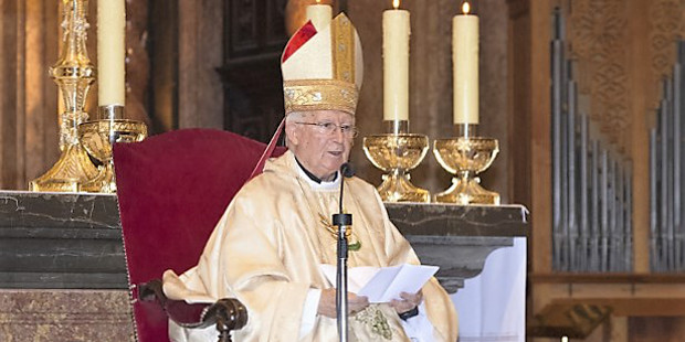 El cardenal Caizares advierte contra los nuevos dragones que imponen la ideologa de gnero