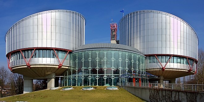 El Tribunal Europeo de Derechos Humanos autoriza retirar la custodia de un nio concebido en un vientre de alquiler