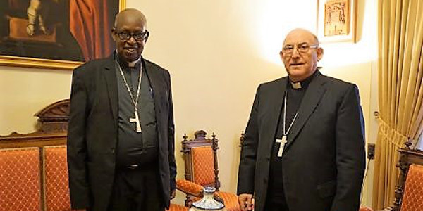Mons. Nzakamvita: Hay que seguir proponiendo la exigencia del Evangelio en lo que toca la dignidad de la familia