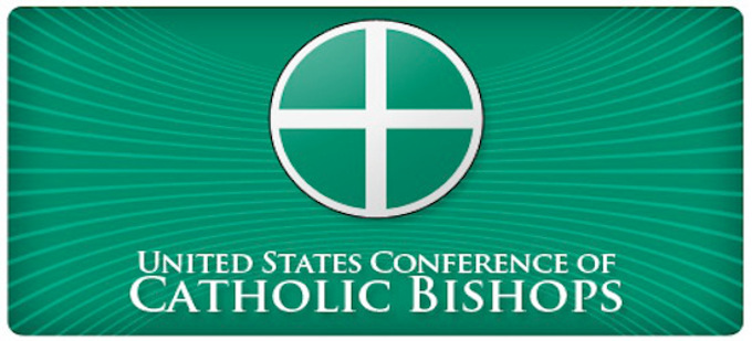 El Ejecutivo de la Conferencia Episcopal de Estados Unidos pone en marcha un plan para tratar los casos de abusos