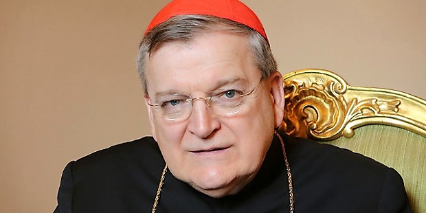 El cardenal Burke recuerda que las reflexiones personales de un Papa no son magisterio