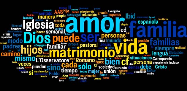 Amoris laetitia 301: discernir atenuantes y doctrina de Santo Toms