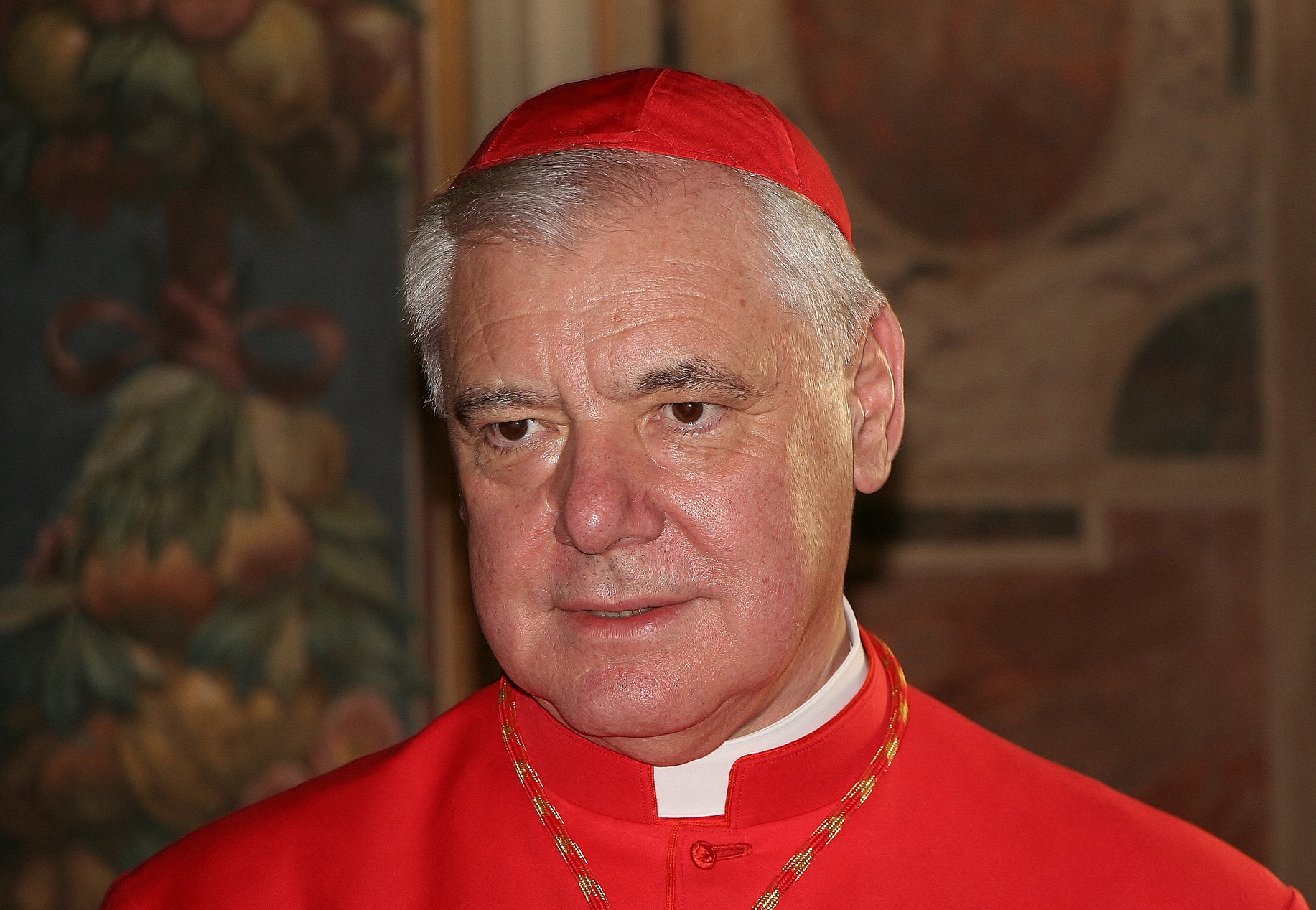 El Cardenal Müller publica una «Declaración de fe» ante la creciente  confusión sobre la