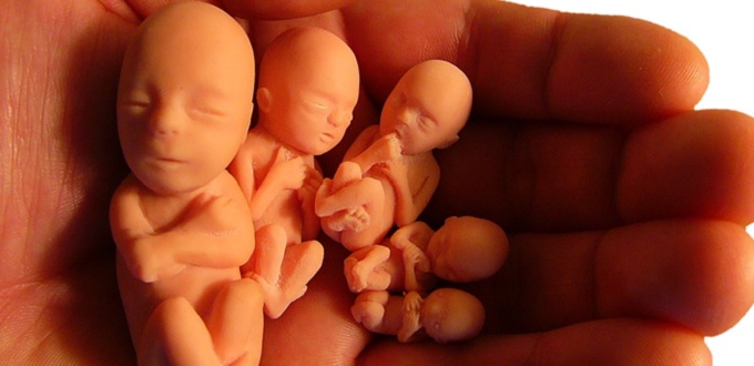 Gobernadora Janet Mills firma ley que permite abortos hasta el nacimiento en Maine