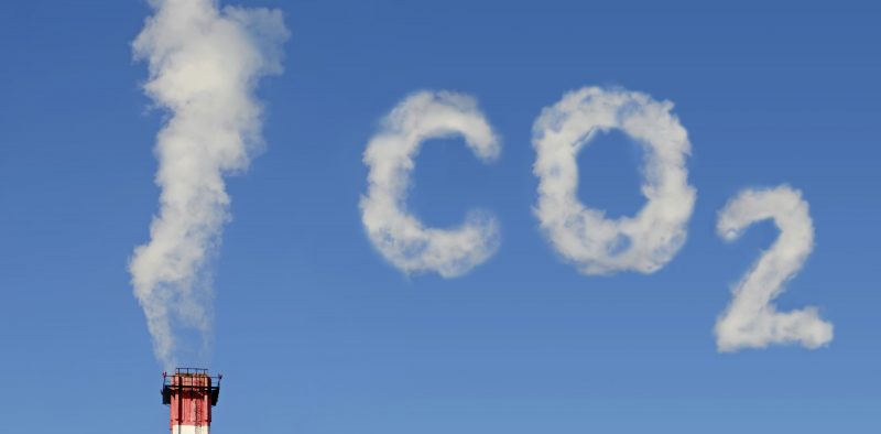 La Secretaría General del Sínodo anuncia que se compensarán las emisiones de CO2 del evento