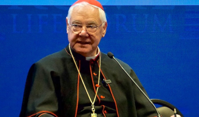 Muller: «En el Sínodo siempre se habló mal de los sacerdotes»