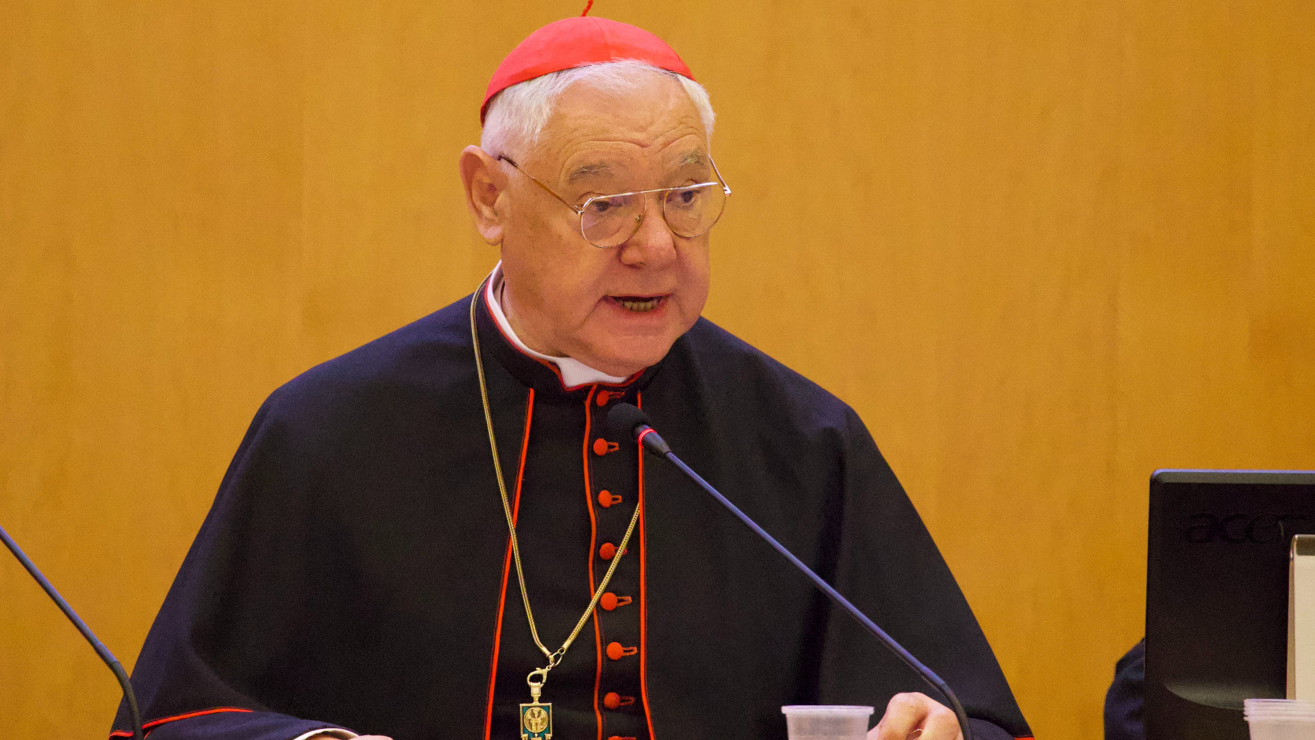 Mller critica a los obispos que relativizan la fe y recuerda que el Papa no puede hacer lo que quiera