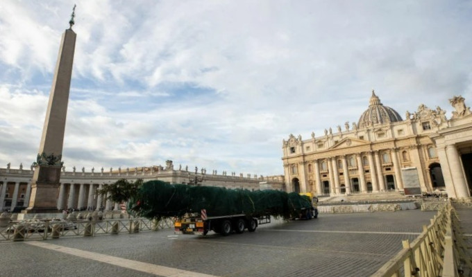 Ecologistas protestan por la tala del abeto que ser rbol de Navidad en el Vaticano