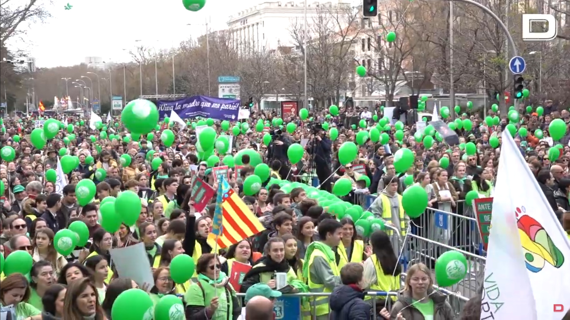 Miles de personas se manifiestan en Madrid en defensa del derecho a la vida