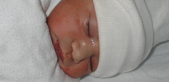 Safe Haven Baby Box salv a 100 bebs del infanticidio en Nueva Jersey