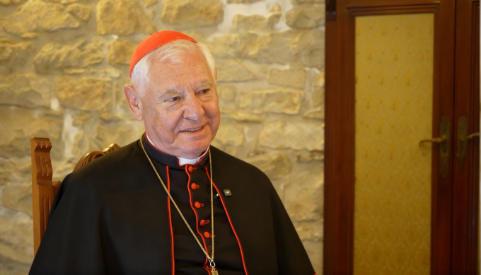 Muller condena la peregrinacin LGTBI al Vaticano: buscaban hacerse propaganda a s mismos