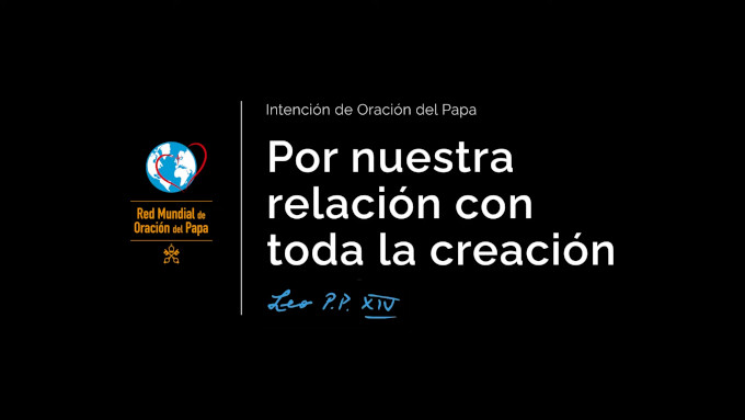 Len XIV pide experimentar nuestra interdependencia con todas las criaturas