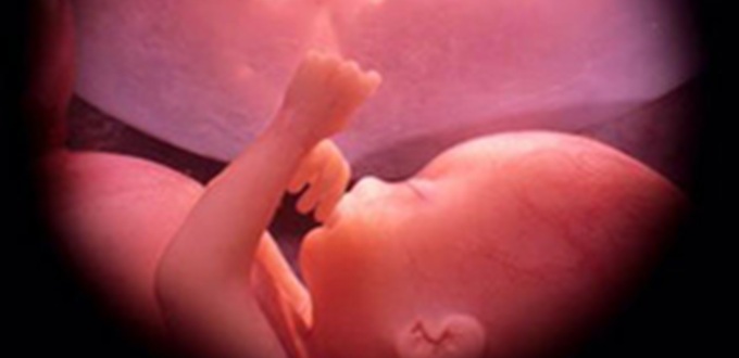 Tras acompaar a su amiga a abortar, una mujer se da cuenta de que haba participado en el asesinato de un beb