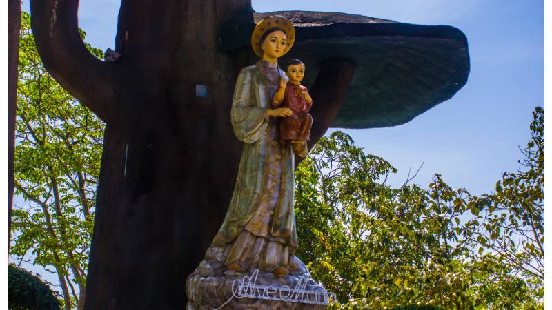 Las comunidades cat�licas vietnamitas crean una red de apoyo para combatir el aborto masivo