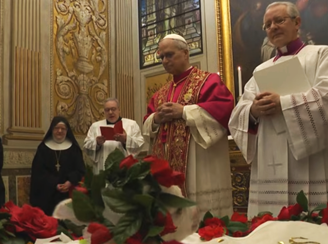 Ivereigh critica que Le�n XIV incumpla la enc�clica Laudato Si