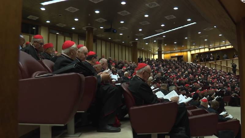 El Papa Le�n XIV convoca el primer consistorio extraordinario de su pontificado para reforzar la colegialidad