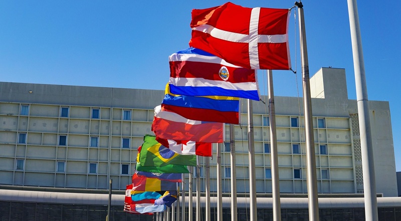 La Santa Sede pide a la ONU medidas para acabar con la gestaci�n subrogada