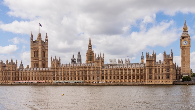 Grupos provida celebran el fracaso del proyecto de ley de suicidio asistido en Inglaterra y Gales: �Salvar� muchas vidas�