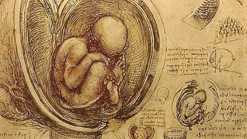 Falsos positivos, riesgos fetales y ausencia de tratamiento: el triple problema �tico de los cribados prenatales