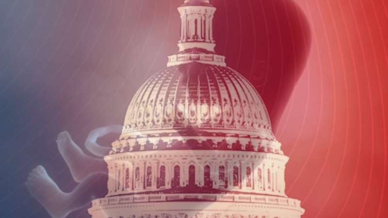 Las �midterm� son mucho m�s que Trump: Idaho, Misuri, Nevada y Virginia votar�n sobre el aborto en noviembre