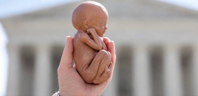Pistoia: la izquierda no soporta un lugar de sepultura para los ni�os no nacidos porque desmiente la ley del aborto