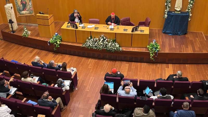 M�ller: el t�tulo de Corredentora expresa �una verdad objetivamente contenida en la revelaci�n�